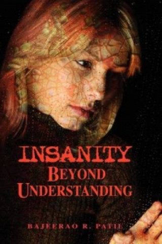 Kniha Insanity - Beyond Understanding Bajeerao Patil