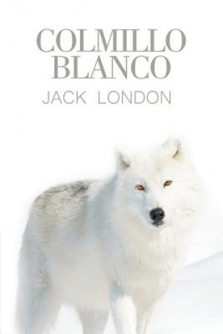 Kniha Colmillo Blanco Jack London