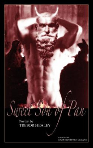 Book Sweet Son of Pan Trebor Healey