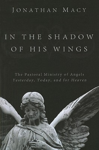 Book In the Shadow of His Wings Jonathan Macy
