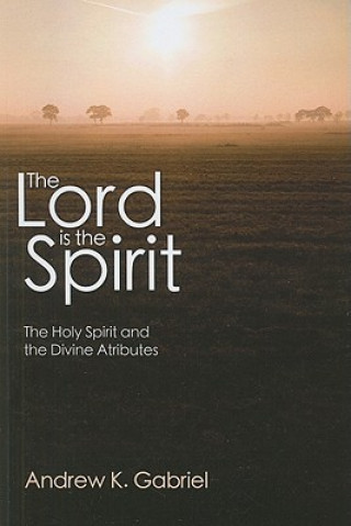 Книга Lord Is the Spirit Andrew K. Gabriel