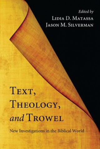 Книга Text, Theology, and Trowel Lidia D. Matassa