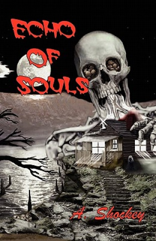 Buch Echo of Souls A. Shockey