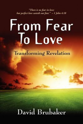 Book From Fear to Love David Brubaker