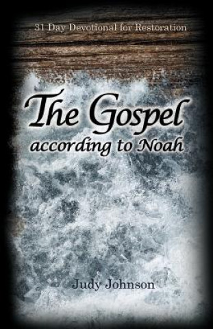 Книга Gospel According to Noah Judy Johnson