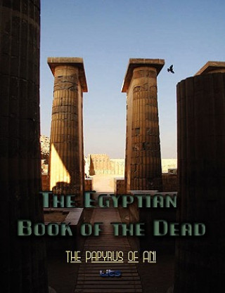 Buch Egyptian Book of the Dead Ernest Wallis Budge