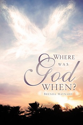 Knjiga Where was God When? Brenda Maynard