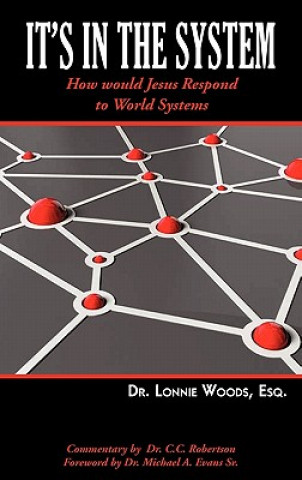 Boek It's in the System Woods