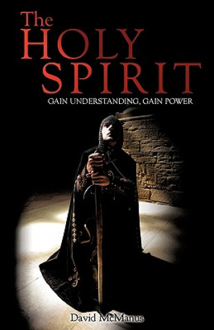 Livre Holy Spirit David McManus