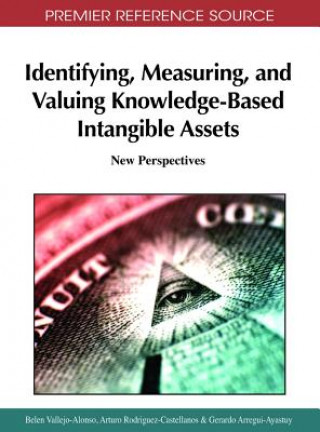 Kniha Identifying, Measuring, and Valuing Knowledge-Based Intangible Assets Gerardo Arregui-Ayastuy