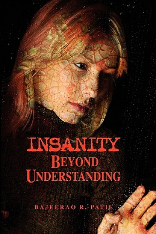 Kniha Insanity - Beyond Understanding Bajeerao Patil