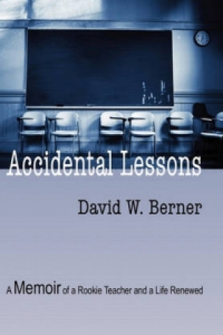 Kniha Accidental Lessons David W Berner