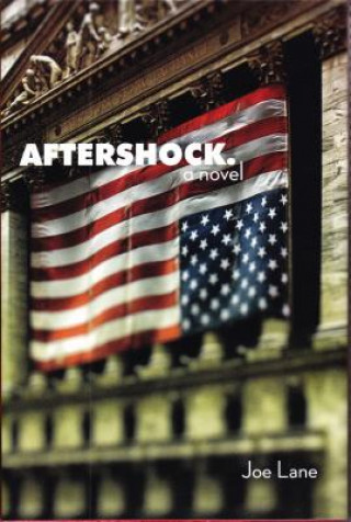 Buch Aftershock Joe Lane