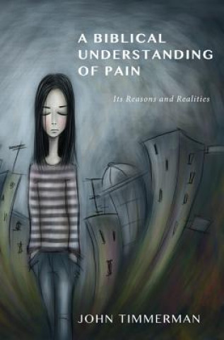 Könyv Biblical Understanding of Pain John Timmerman