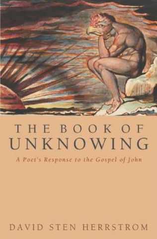 Kniha Book of Unknowing David Sten Herrstrom