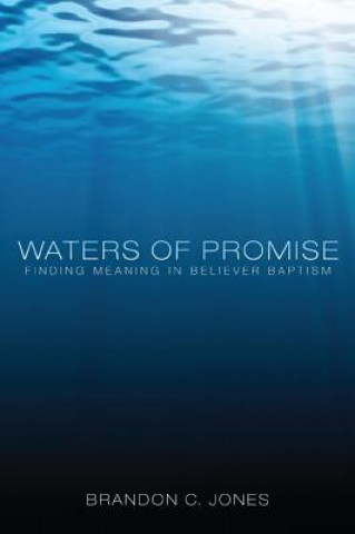 Kniha Waters of Promise Brandon C. Jones