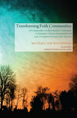 Kniha Transforming Faith Communities Michael Ian Bochenski