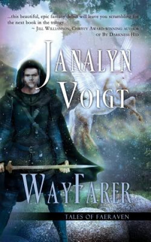 Kniha Wayfarer Janalyn Voigt