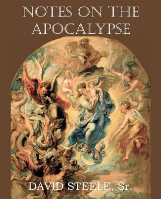 Könyv Notes on the Apocalypse David Steele