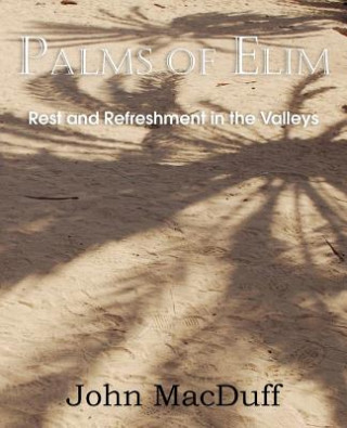 Carte Palms of Elim, Rest and Refreshment in the Valleys John Macduff