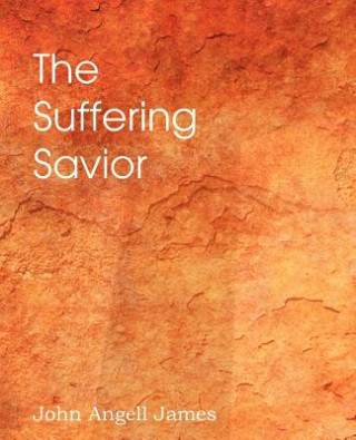 Kniha Suffering Savior, Meditations on the Last Days of Christ F W Krummacher