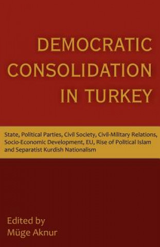 Kniha Democratic Consolidation in Turkey Muge Aknur