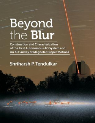 Kniha Beyond the Blur Shriharsh Tendulkar