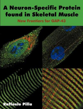 Книга Neuron-Specific Protein found in Skeletal Muscle Raffaele Pilla