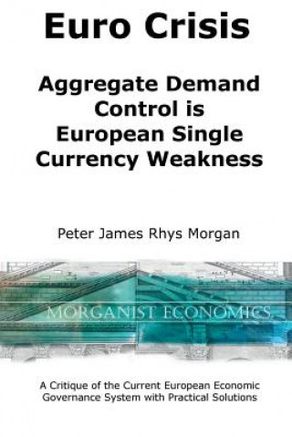 Kniha Euro Crisis Aggregate Demand Control is European Single Currency Weakness Peter James Rhys Morgan