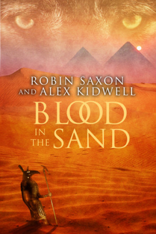 Livre Blood in the Sand Alex Kidwell