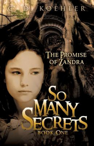 Boek So Many Secrets C D Koehler