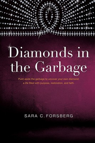 Kniha Diamonds in the Garbage Sara C Forsberg