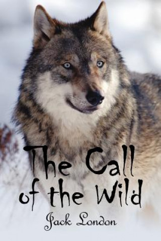 Kniha Call of the Wild Jack London