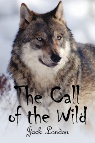 Kniha Call of the WIld Jack London