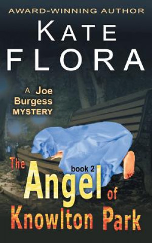 Carte Angel of Knowlton Park (a Joe Burgess Mystery, Book 2) Kate Flora
