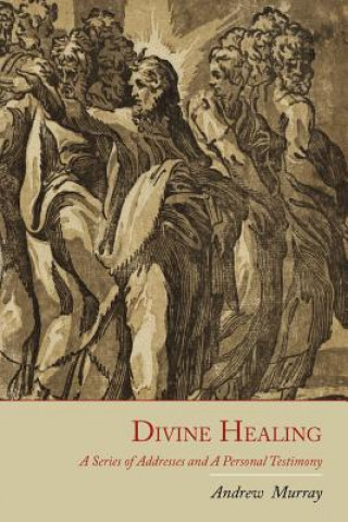 Kniha Divine Healing Andrew Murray