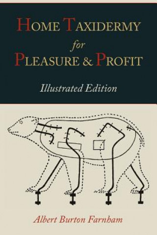 Könyv Home Taxidermy for Pleasure and Profit [Illustrated Edition] Albert Burton Farnham