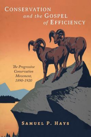 Könyv Conservation and the Gospel of Efficiency Samuel P Samuel