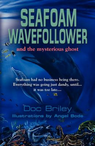 Kniha Seafoam Wavefollower and the Mysterious Ghost John M. Briley Jr MD