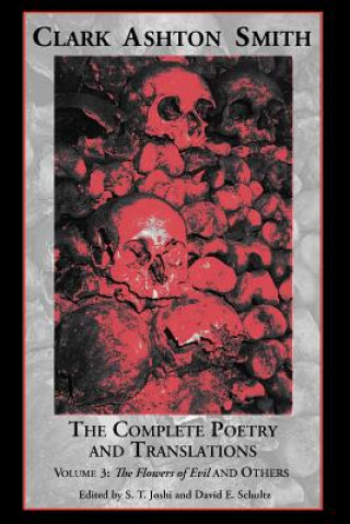 Könyv Complete Poetry and Translations Volume 3 David E Schultz