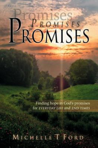 Boek Promises, Promises, Promises Michelle T. Ford