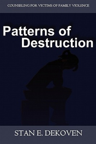 Könyv Patterns of Destruction Stan DeKoven