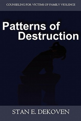 Knjiga Patterns of Destruction Stan DeKoven