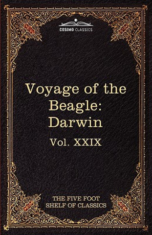 Carte Voyage of the Beagle Professor Charles Darwin