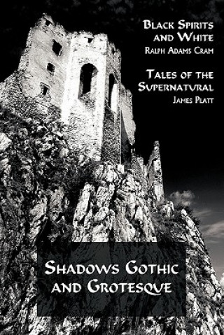 Buch Shadows Gothic and Grotesque (Black Spirits and White; Tales of the Supernatural) James Platt