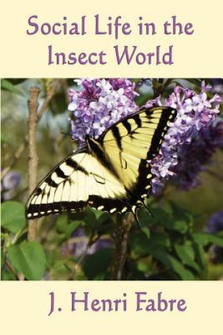 Livre Social Life in the Insect World Jean Henri Fabre