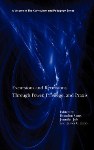 Könyv Excursions and Recursions Through Power, Privilege, and Practice (HC) Jennifer Job