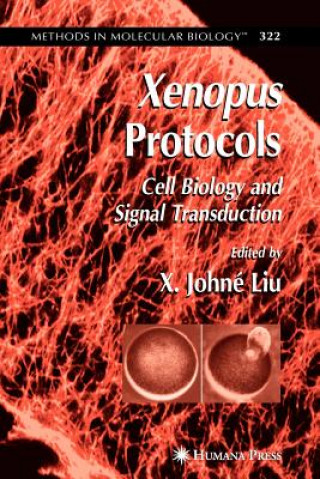 Kniha Xenopus Protocols X. Johné Liu