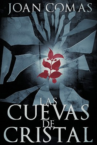 Könyv Cuevas de Cristal Joan Comas