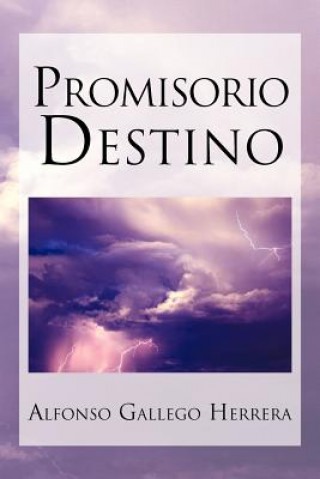 Knjiga Promisorio Destino Alfonso Gallego Herrera